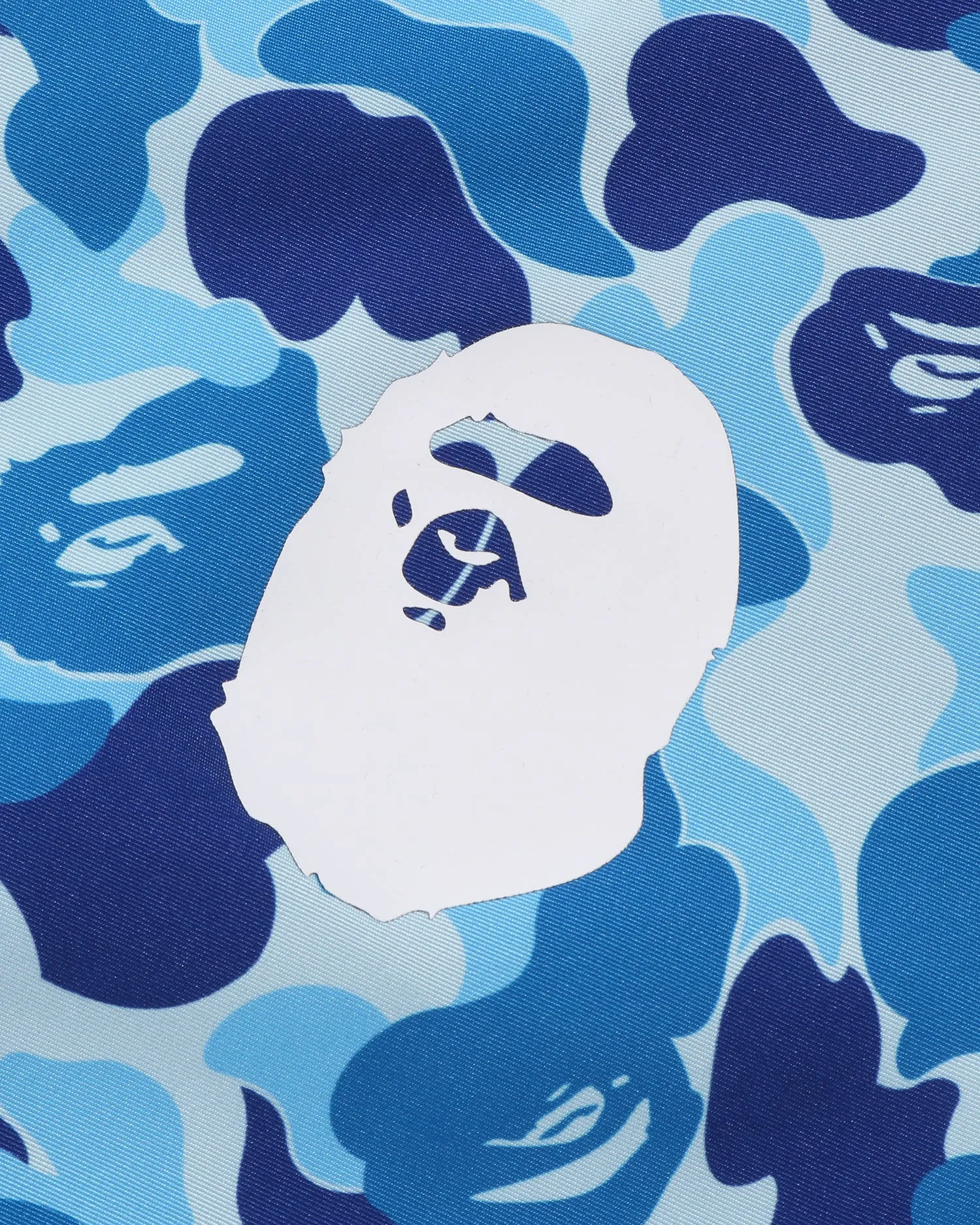 Abc Camo Coach Jacket
