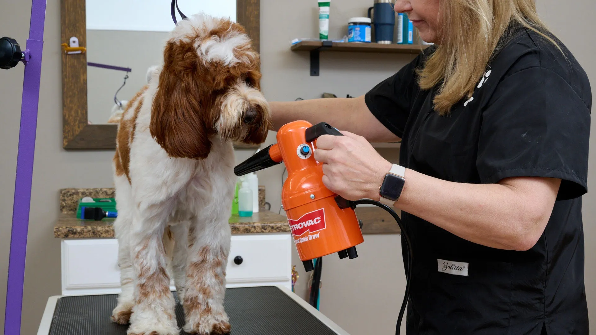 Air Force® Quick Draw Pet Grooming Dryer