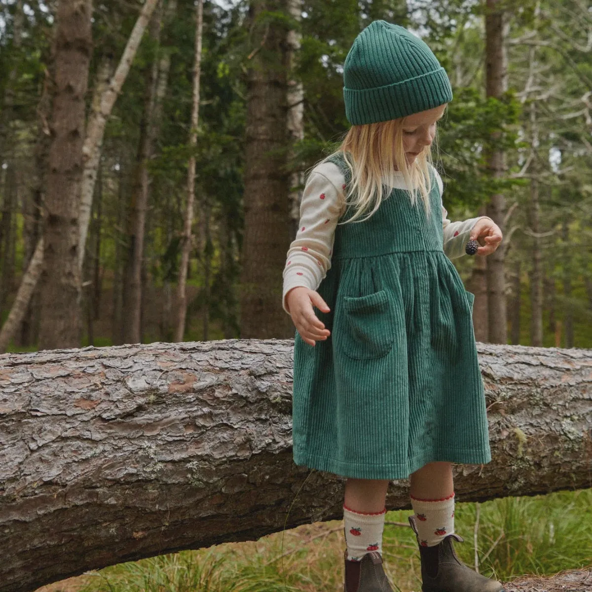 Amelia Pinafore