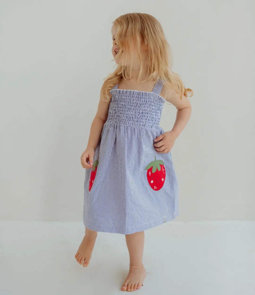 Blue Strawberry Applique Dress