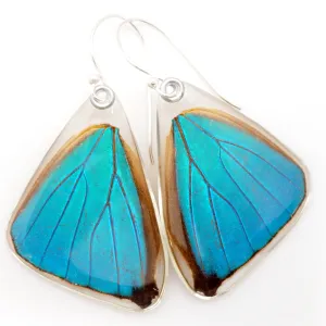 Butterfly earrings, Blue Morpho Aega, bottom wings