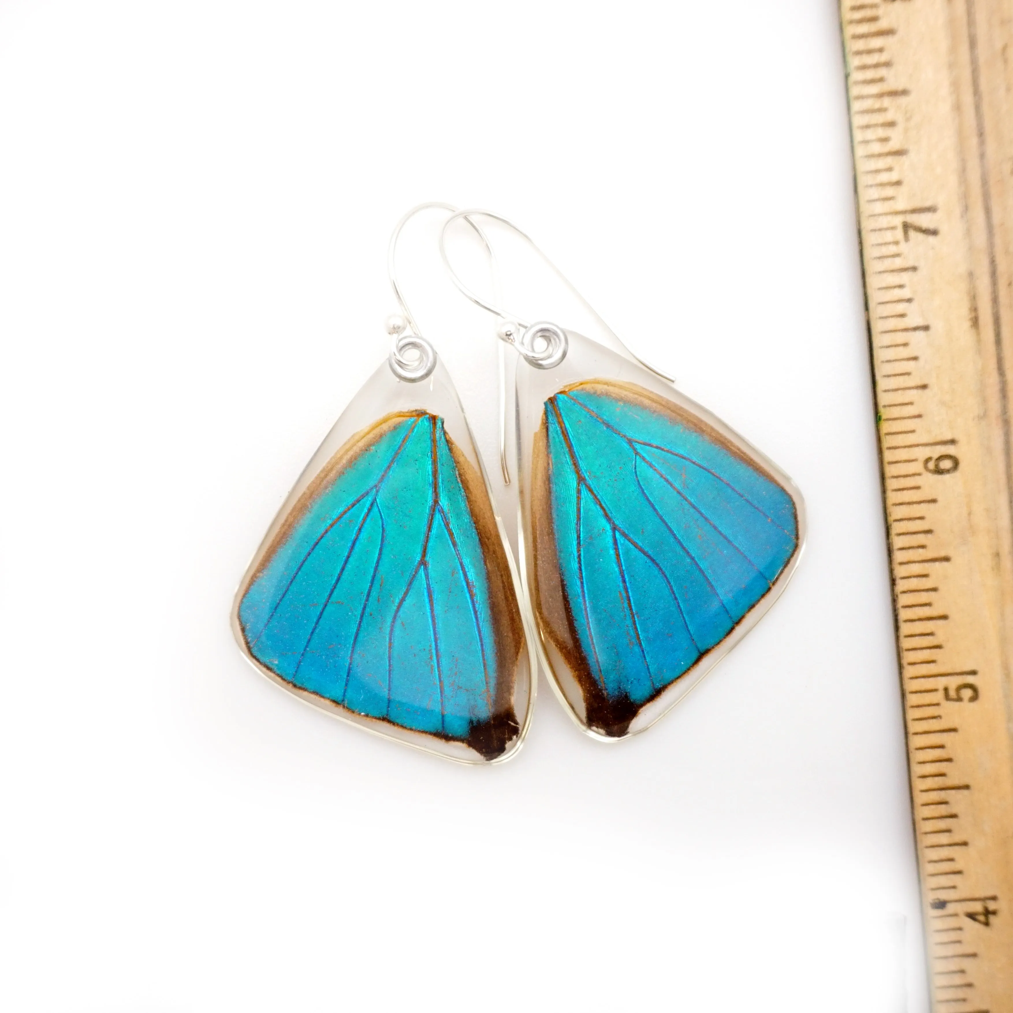 Butterfly earrings, Blue Morpho Aega, bottom wings