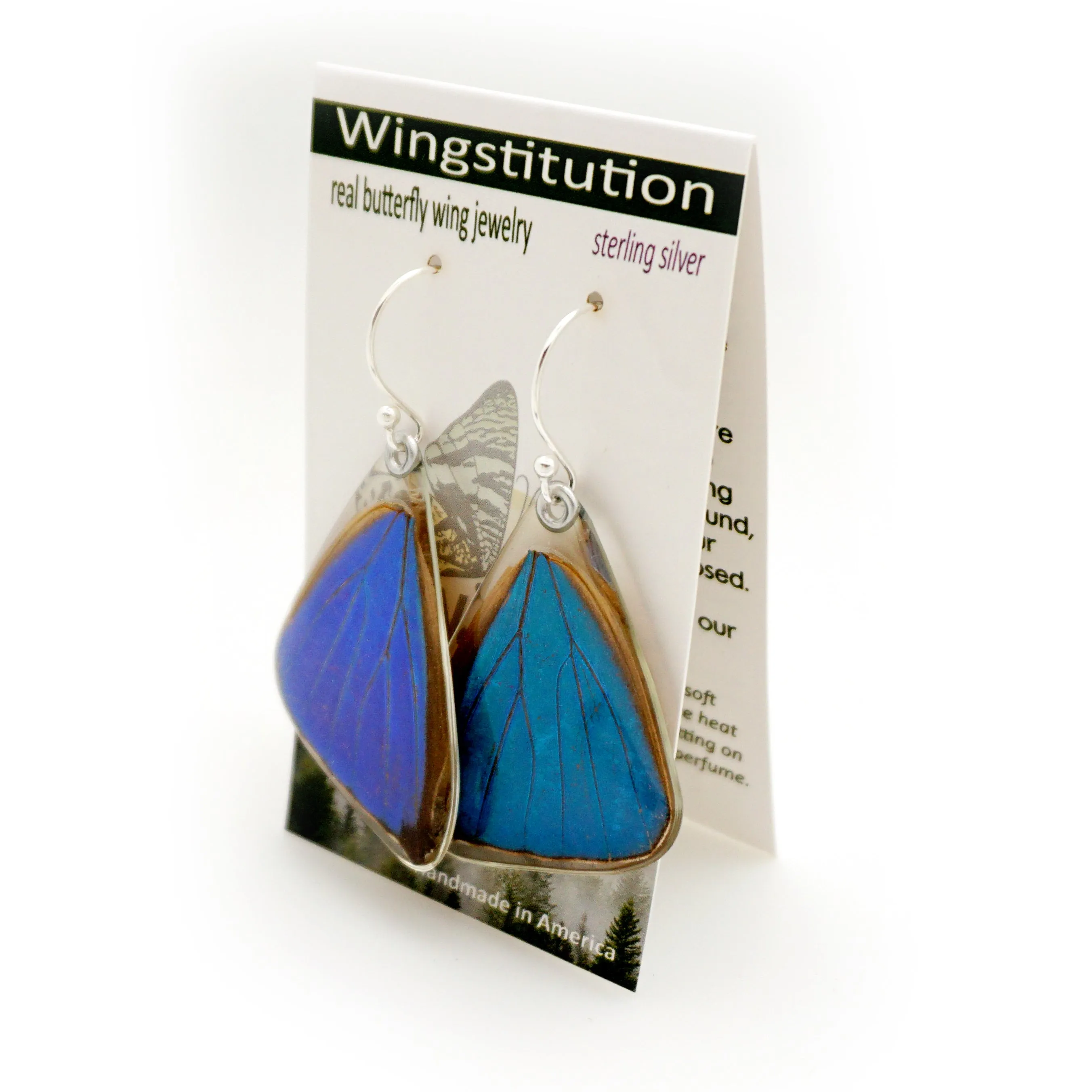 Butterfly earrings, Blue Morpho Aega, bottom wings