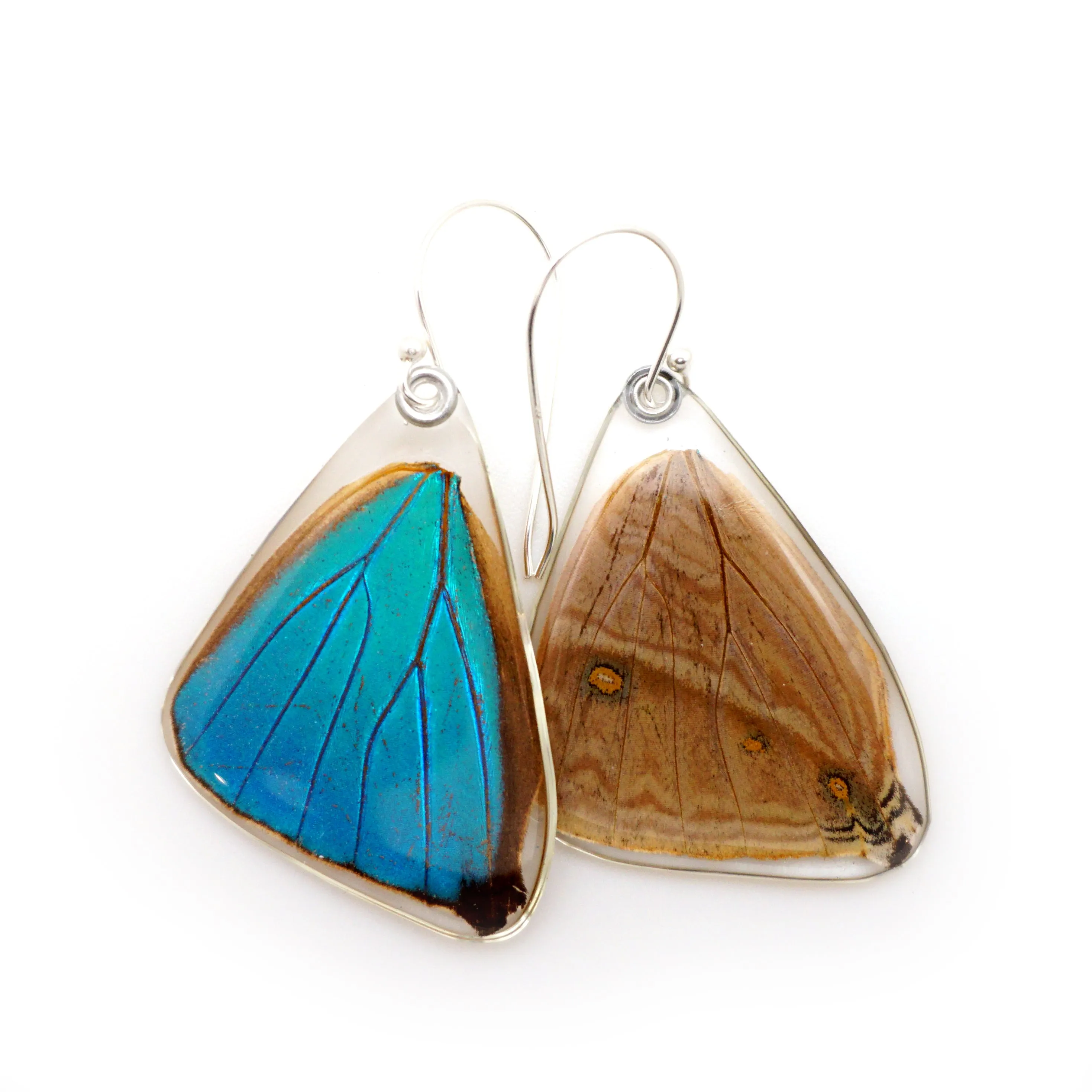 Butterfly earrings, Blue Morpho Aega, bottom wings