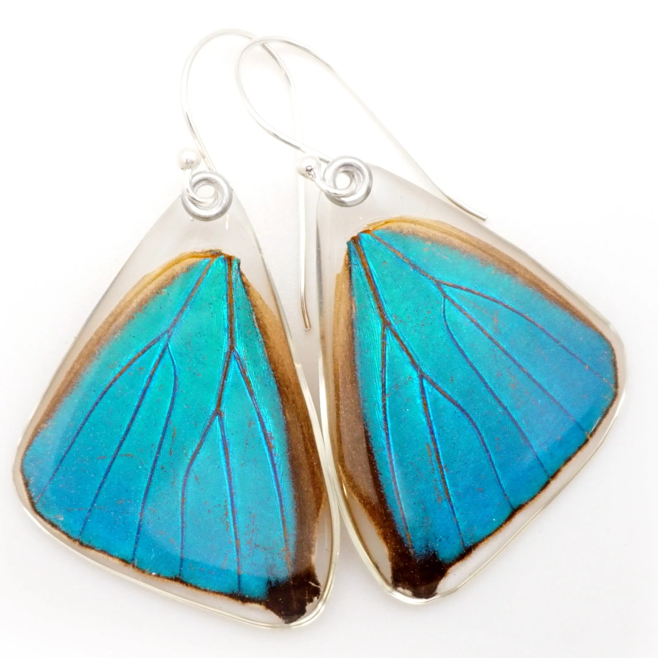 Butterfly earrings, Blue Morpho Aega, bottom wings