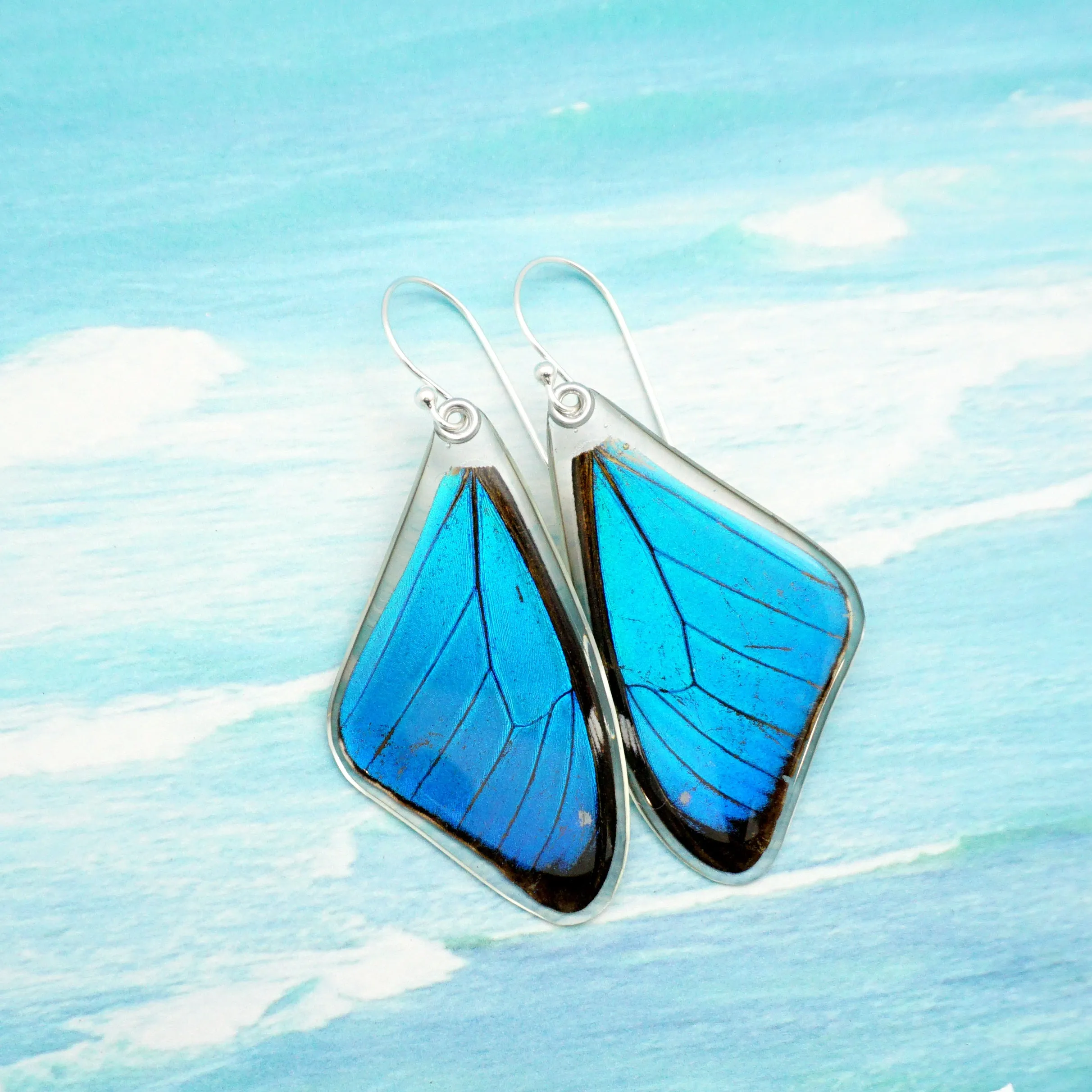 Butterfly earrings, Blue Morpho Aega, top wings