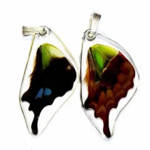 Butterfly Wing Pendant, Purple Spotted Swallowtail, bottom wing