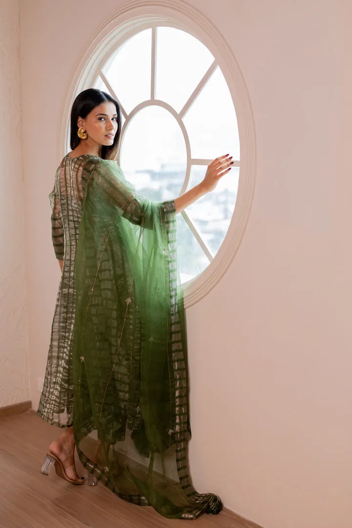 Dvanaa Kurta Set