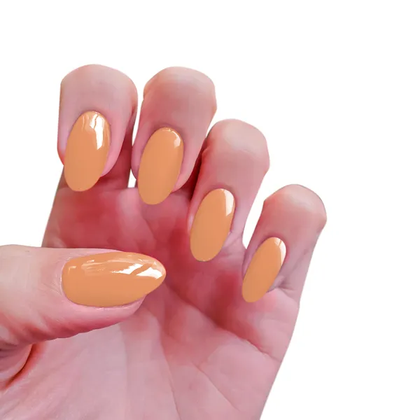 Fall Collection 2021 Gel Polish Bundle (4 Pack)