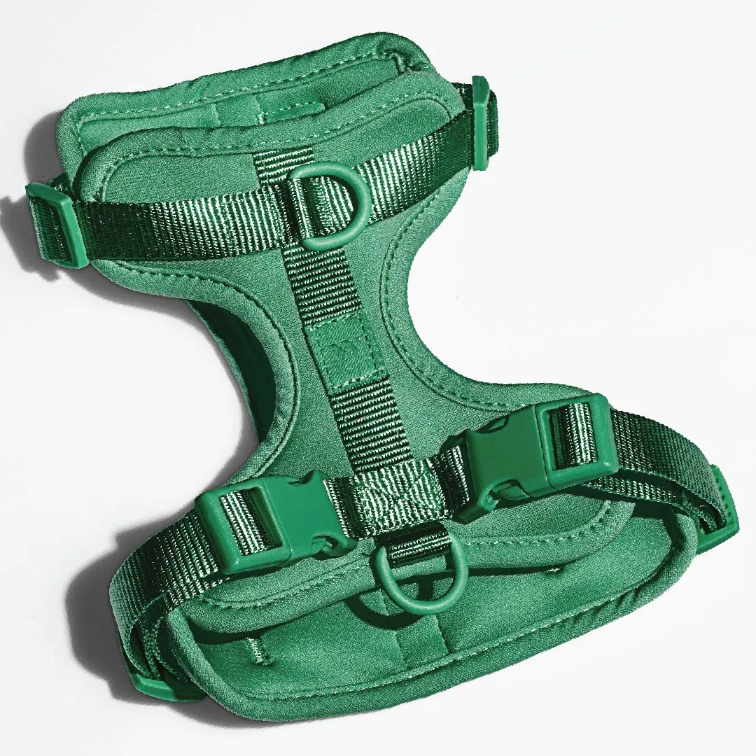 Harness