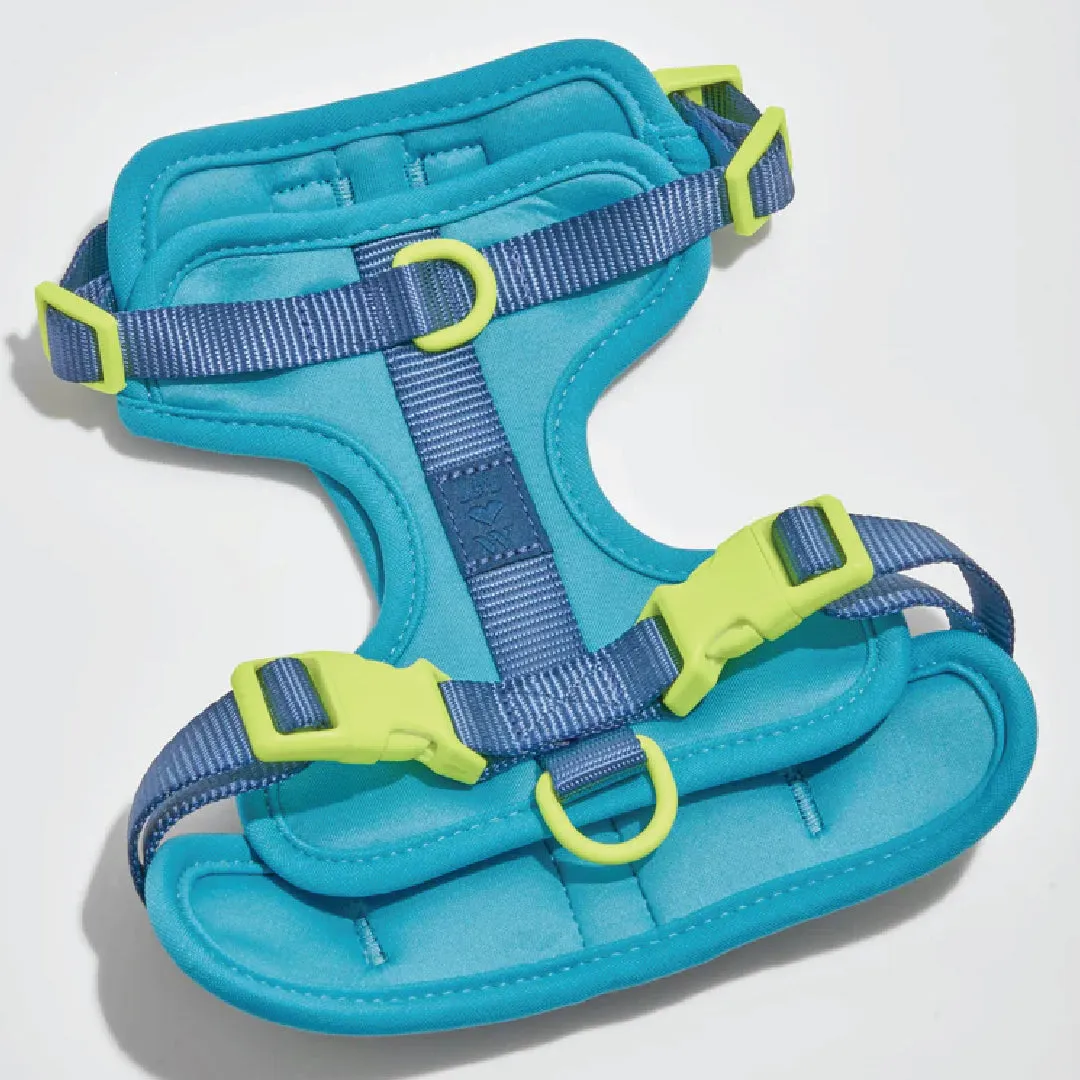 Harness