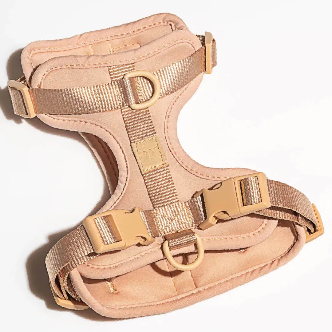 Harness