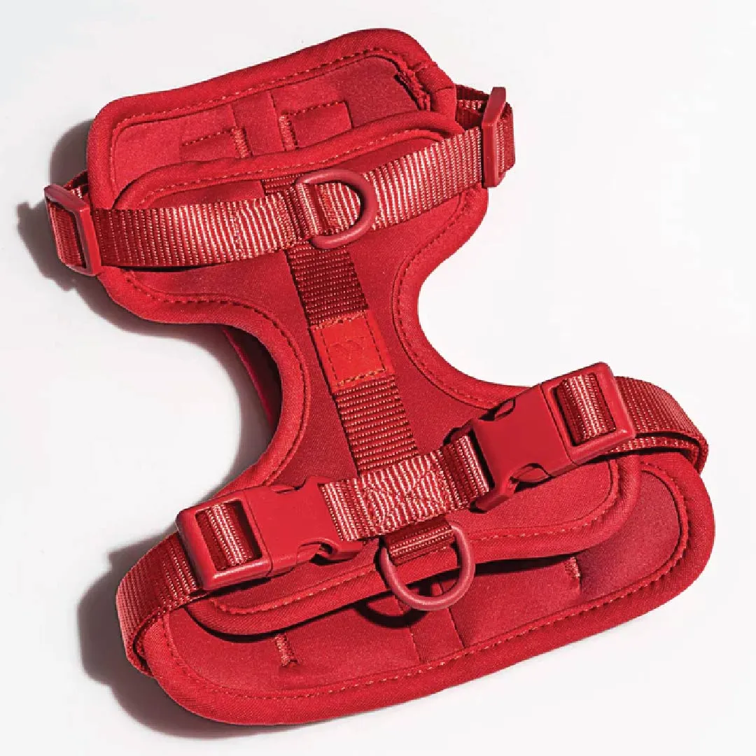Harness