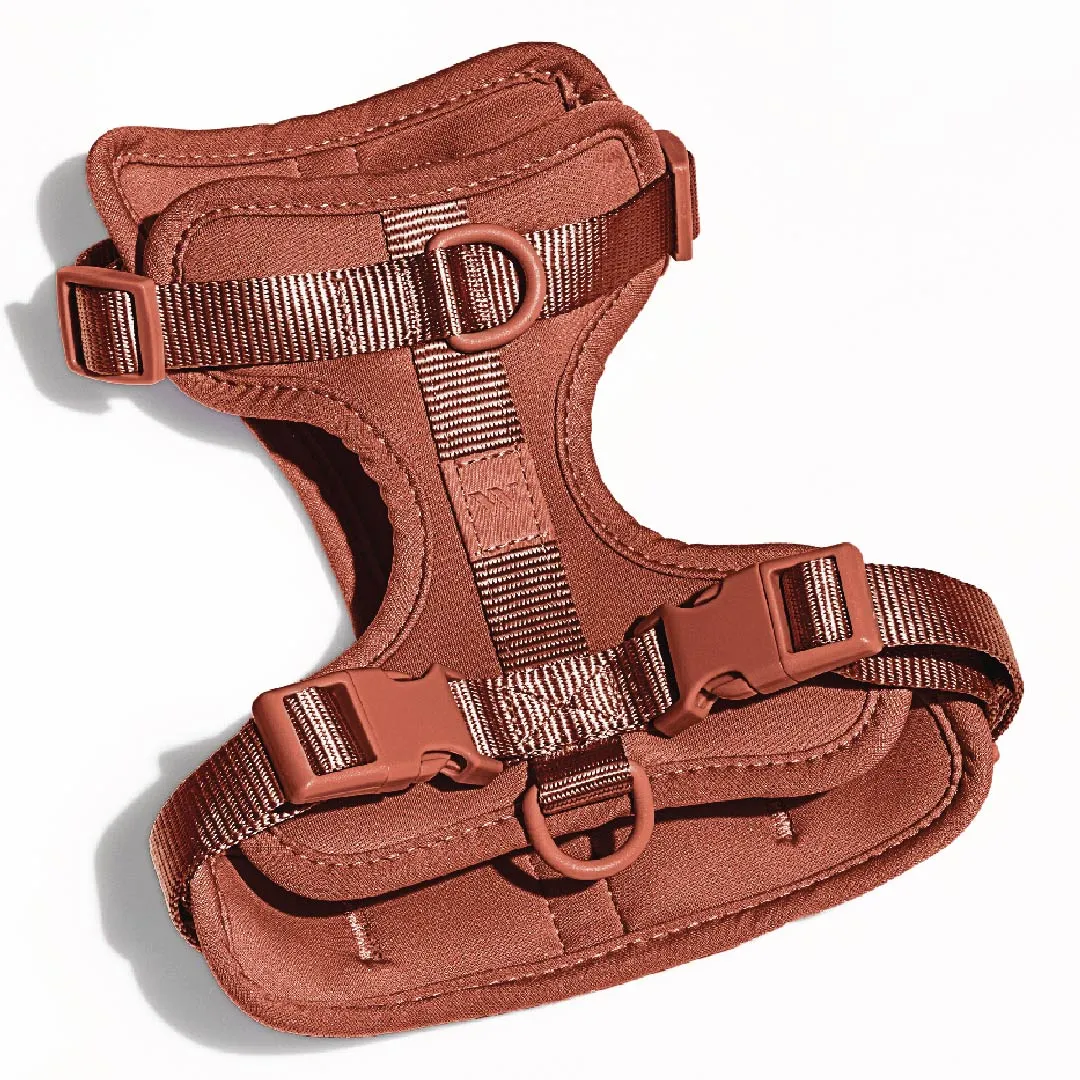 Harness