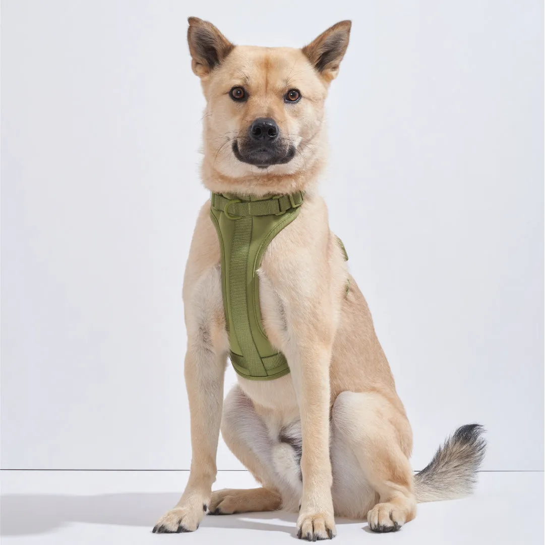 Harness