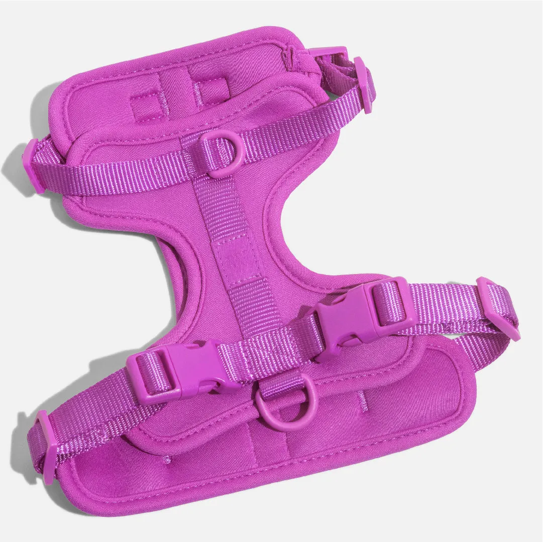 Harness