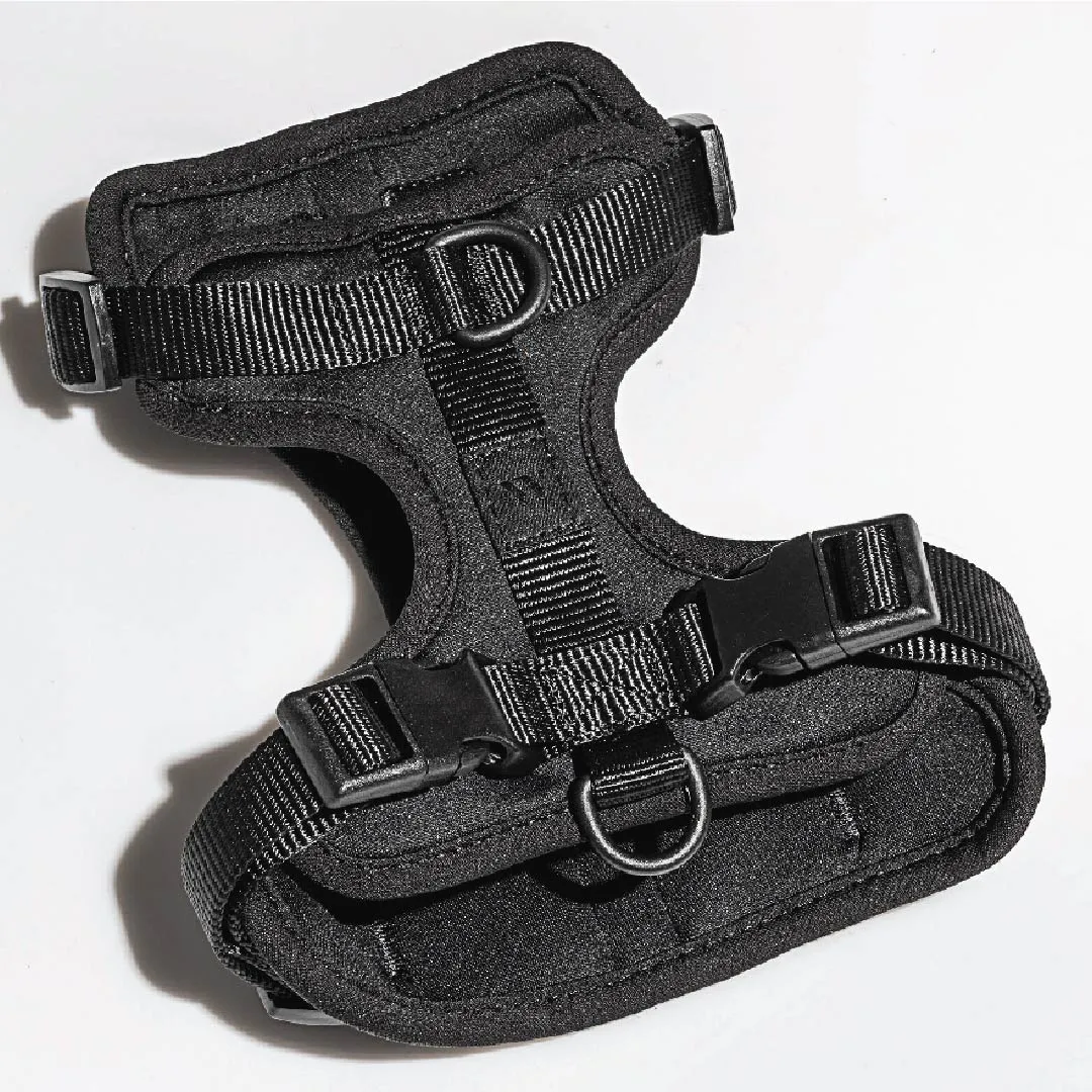Harness
