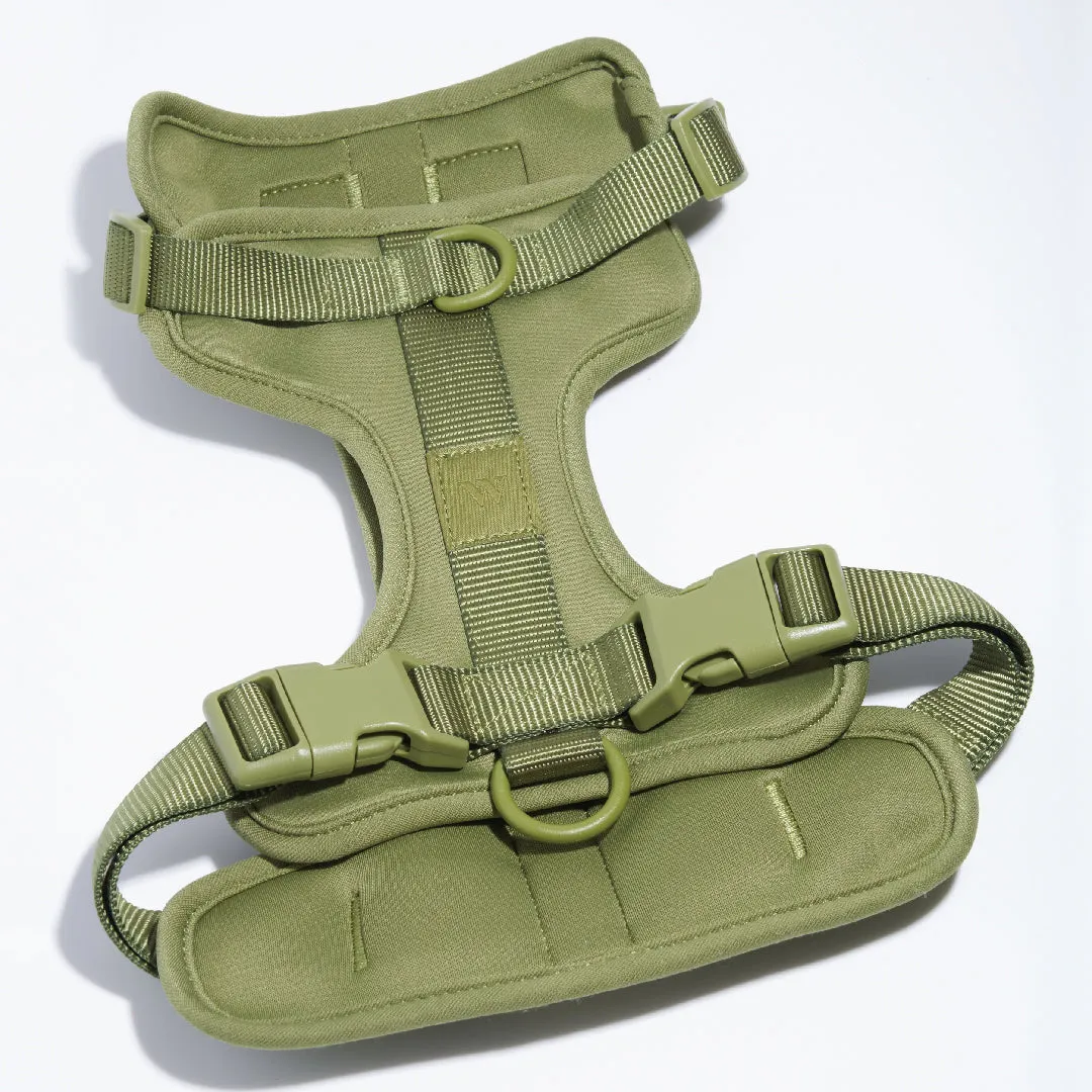 Harness