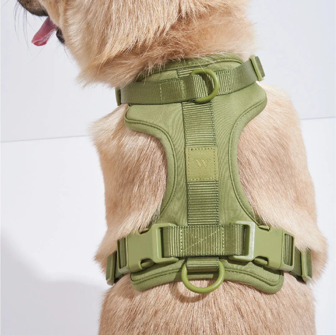 Harness