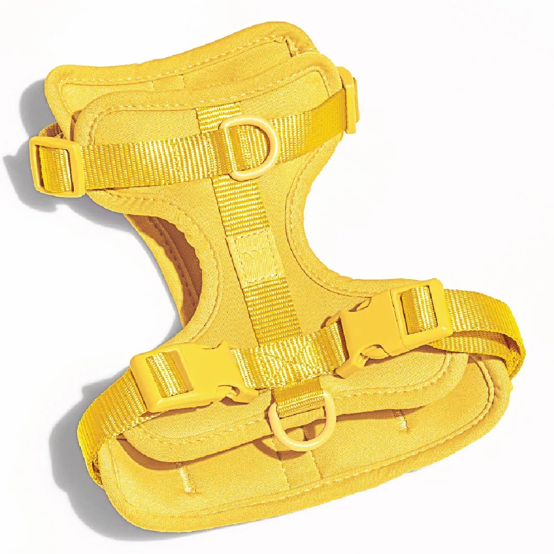Harness