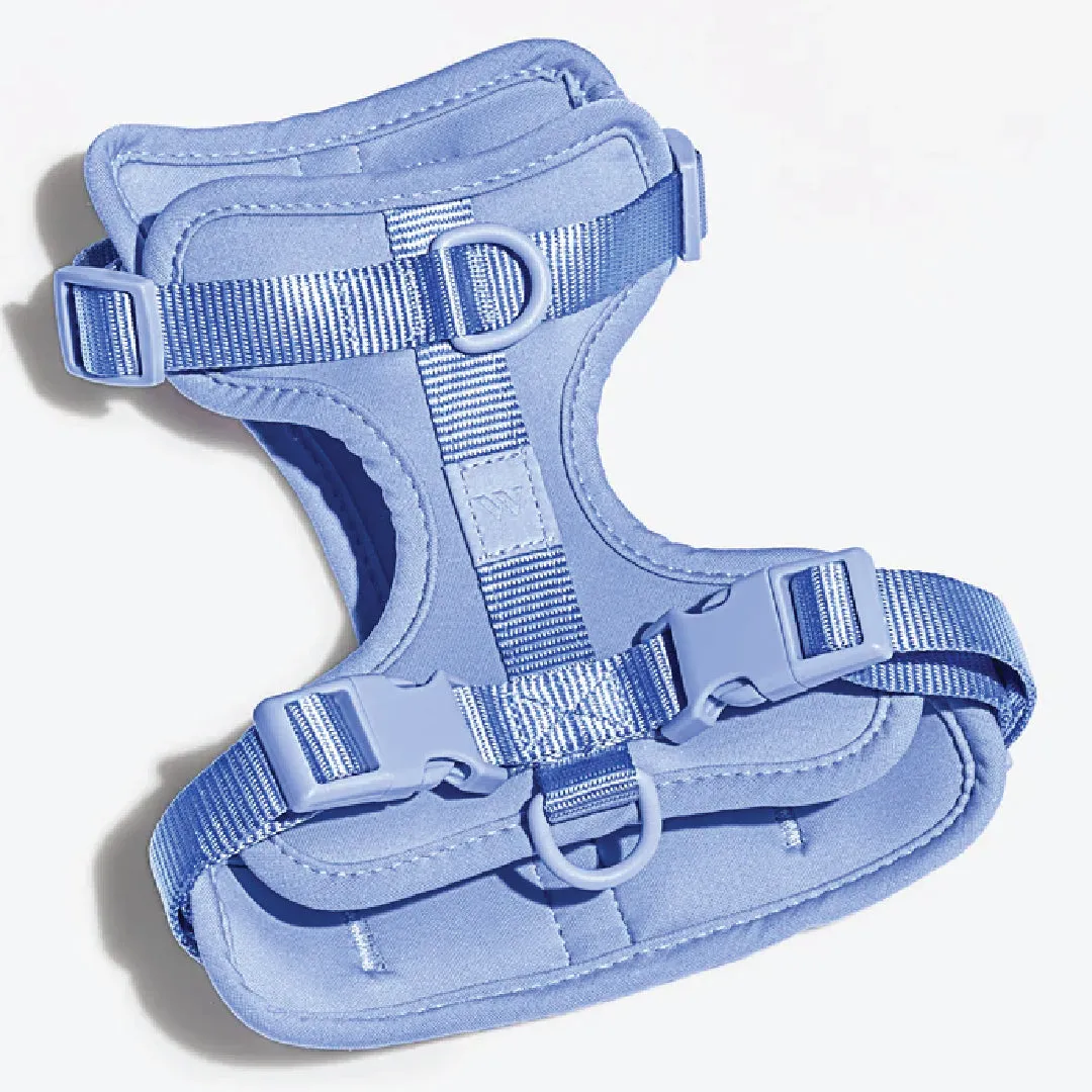 Harness