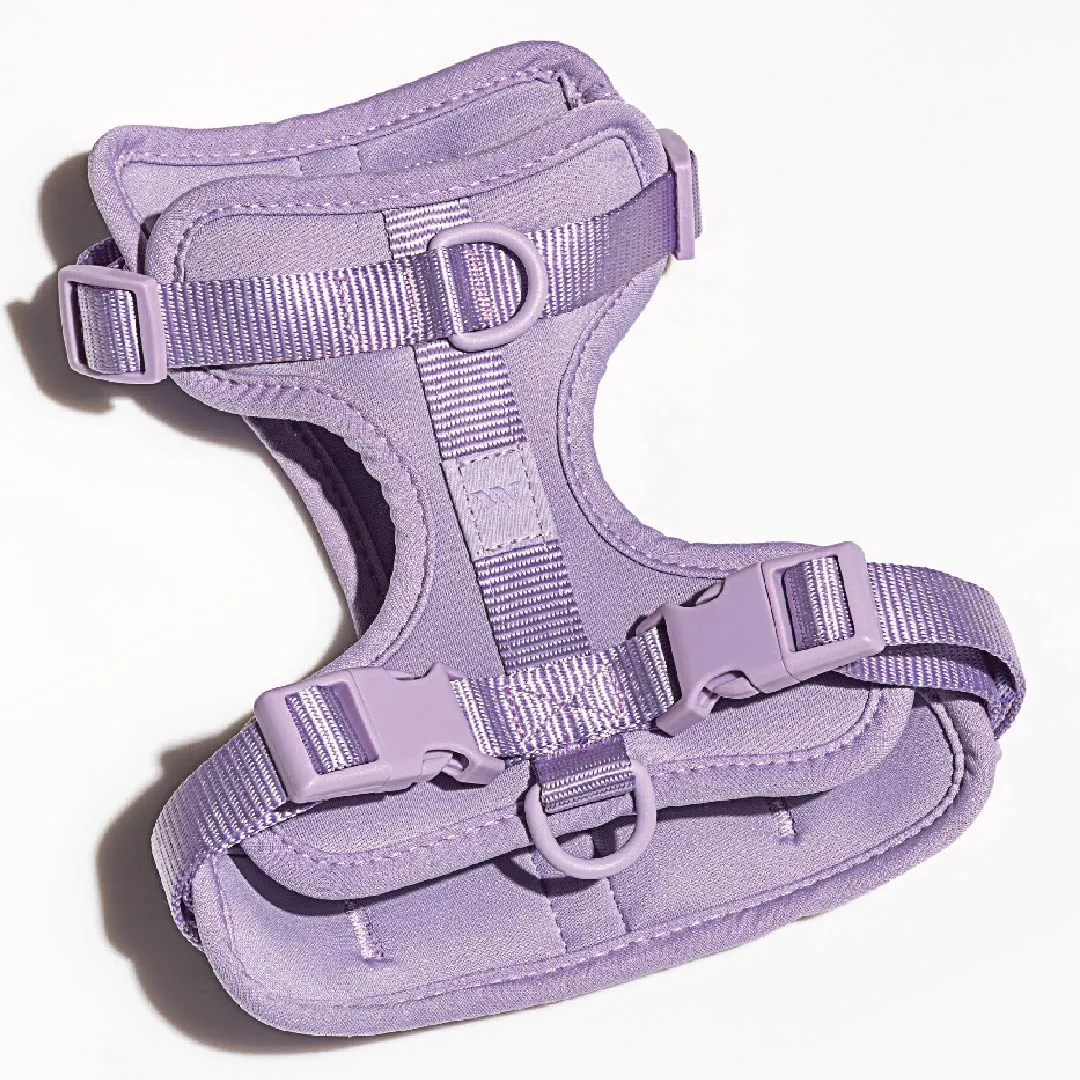 Harness