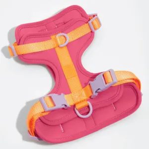 Harness
