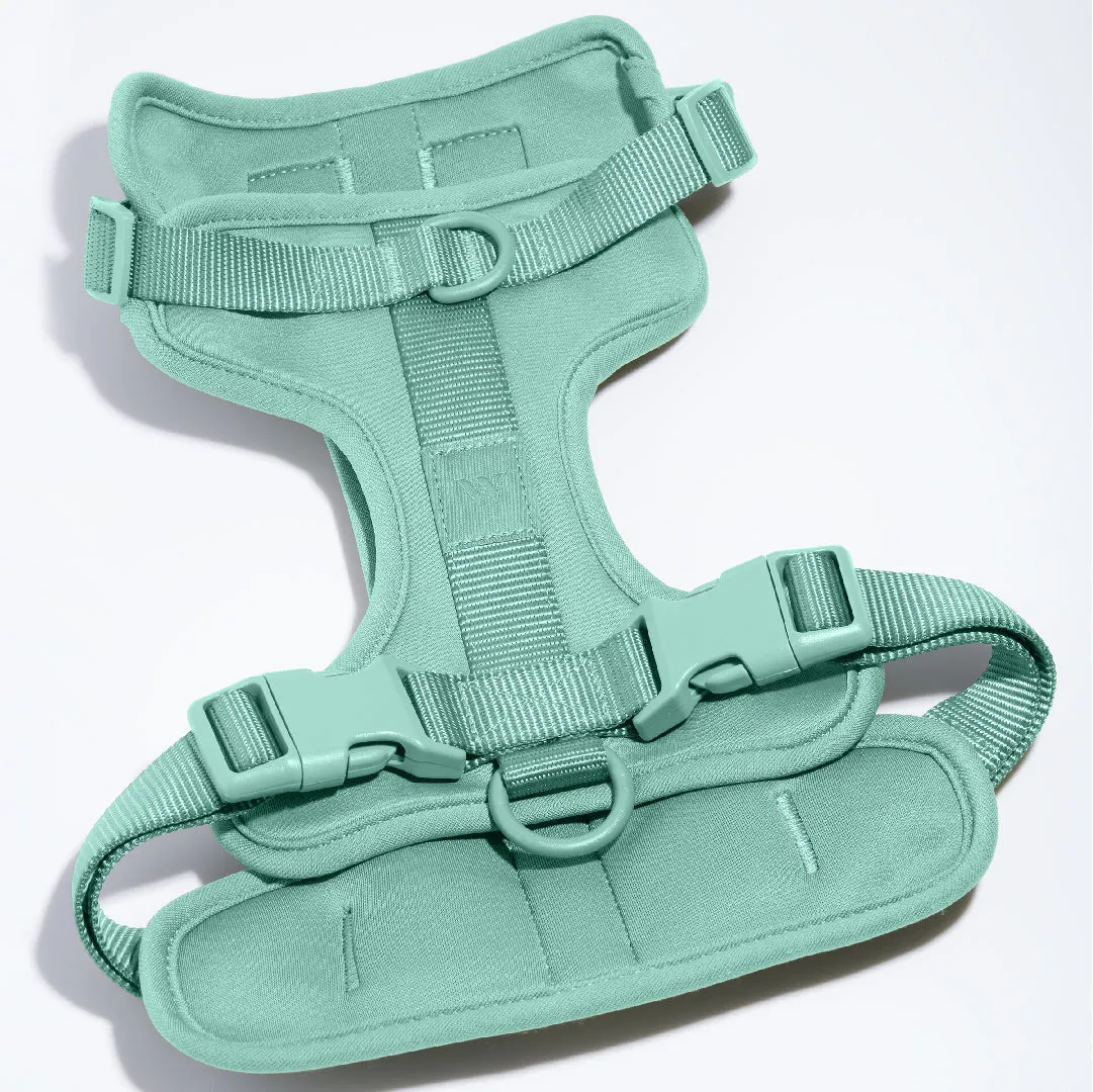 Harness