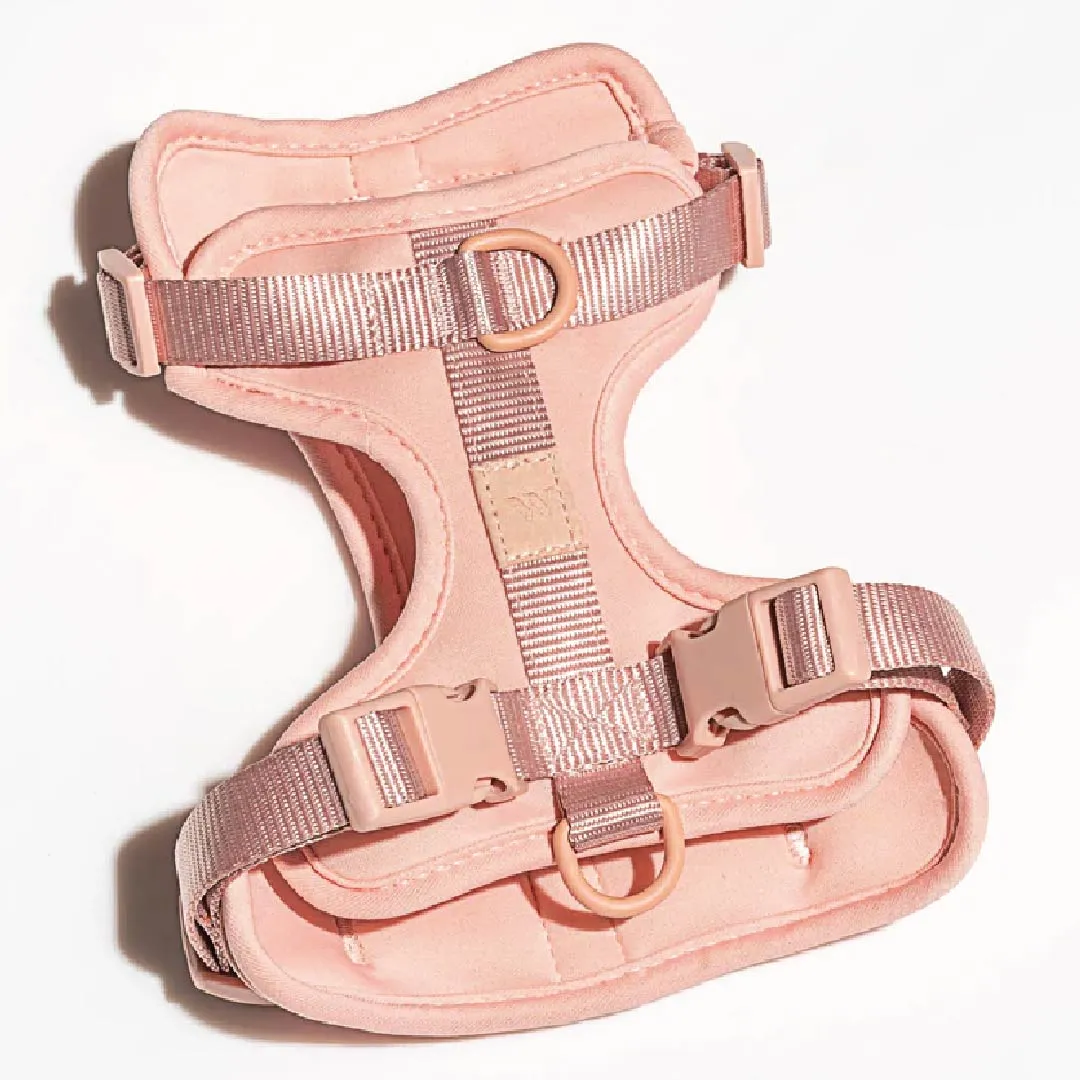 Harness