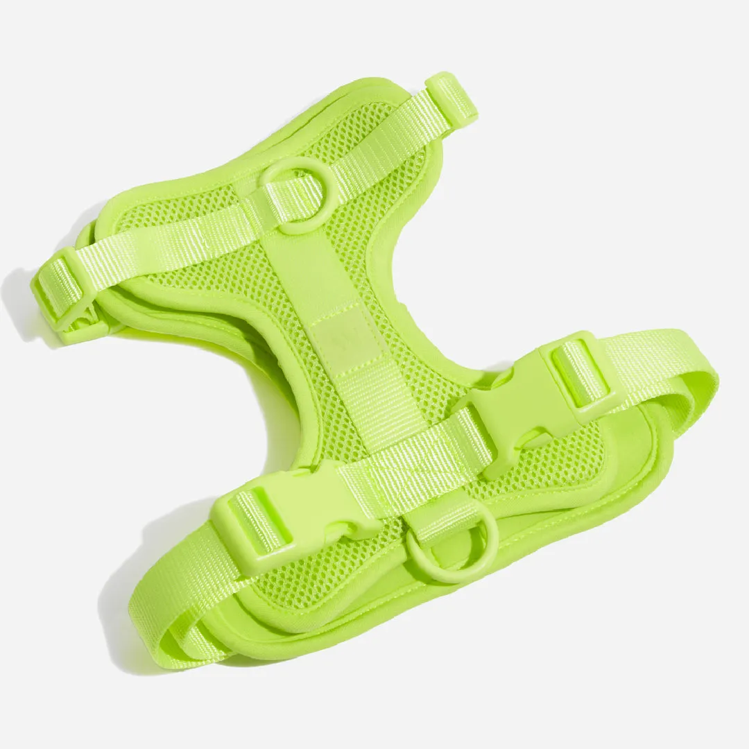 Harness