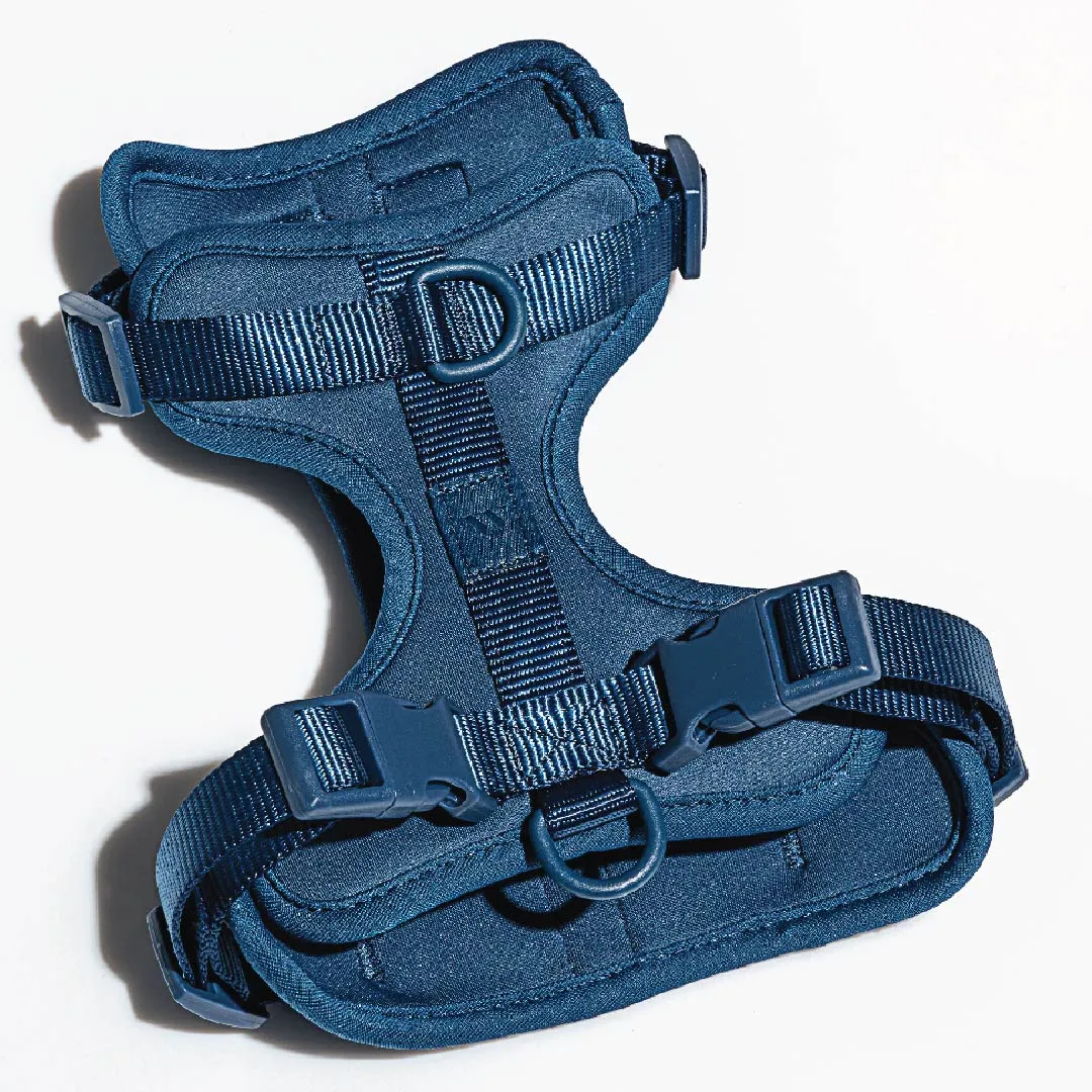 Harness
