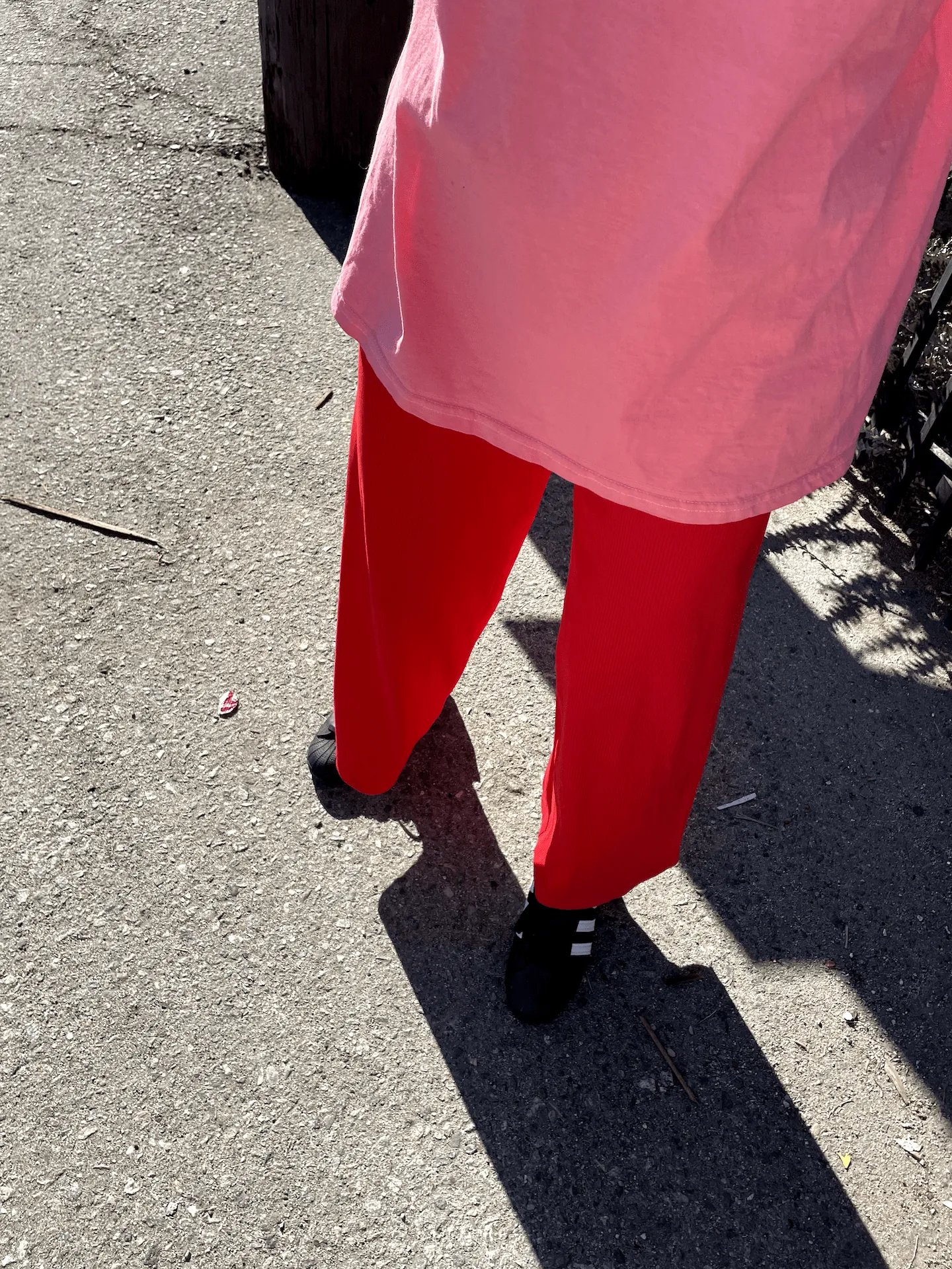 Liza Pant in Red