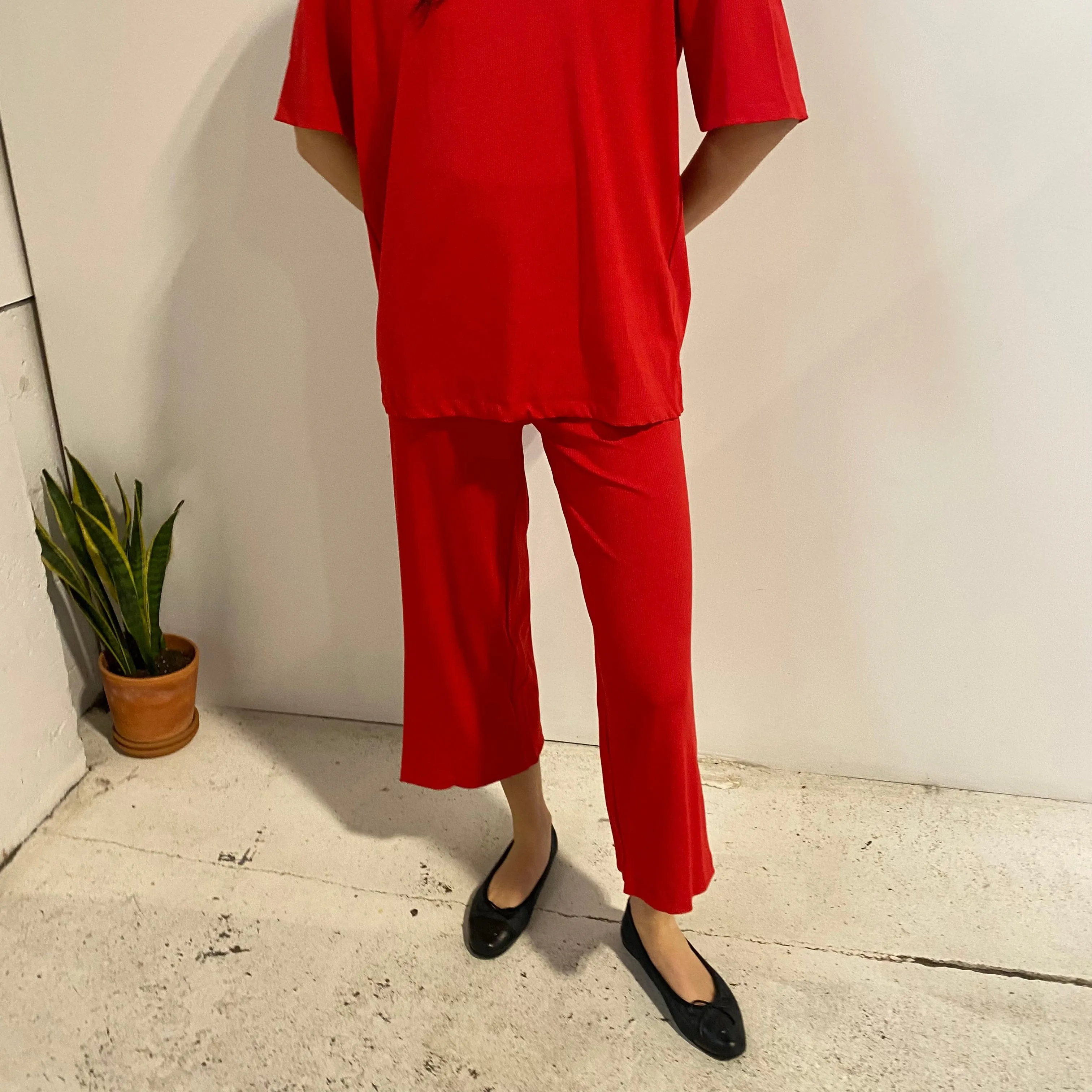 Liza Pant in Red