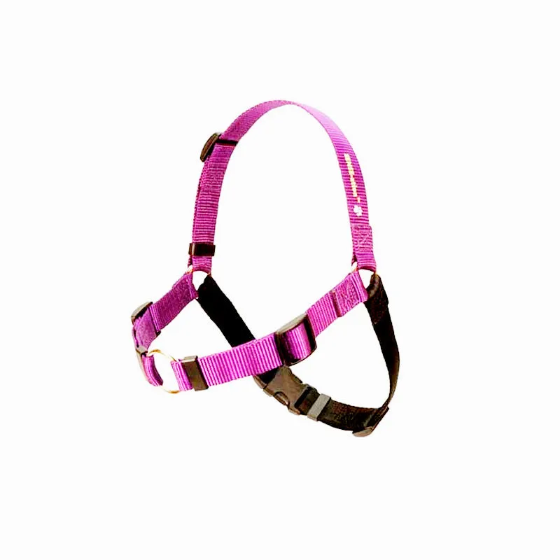 SENSE-ation Dog Harness - Various Colours