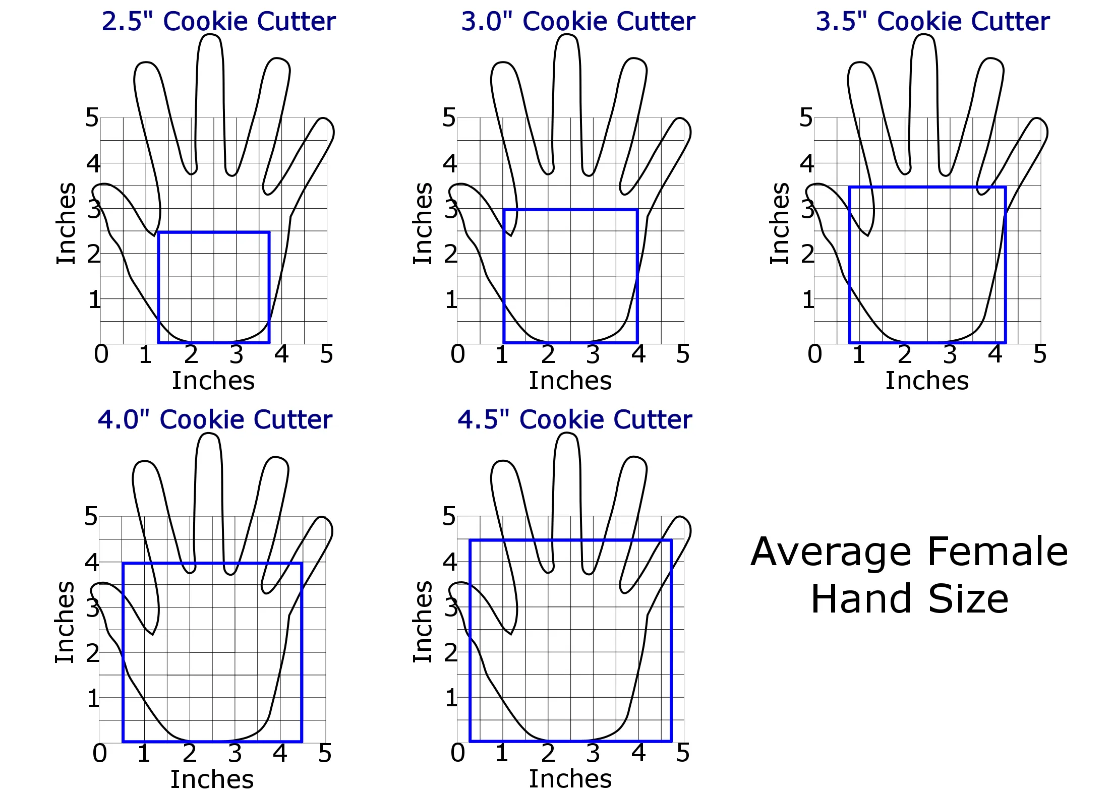 Square Cookie Cutter